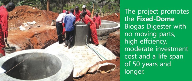 Biogas installation Kenya