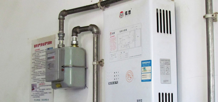 Biogas Instant Water Heater Installation Kenya